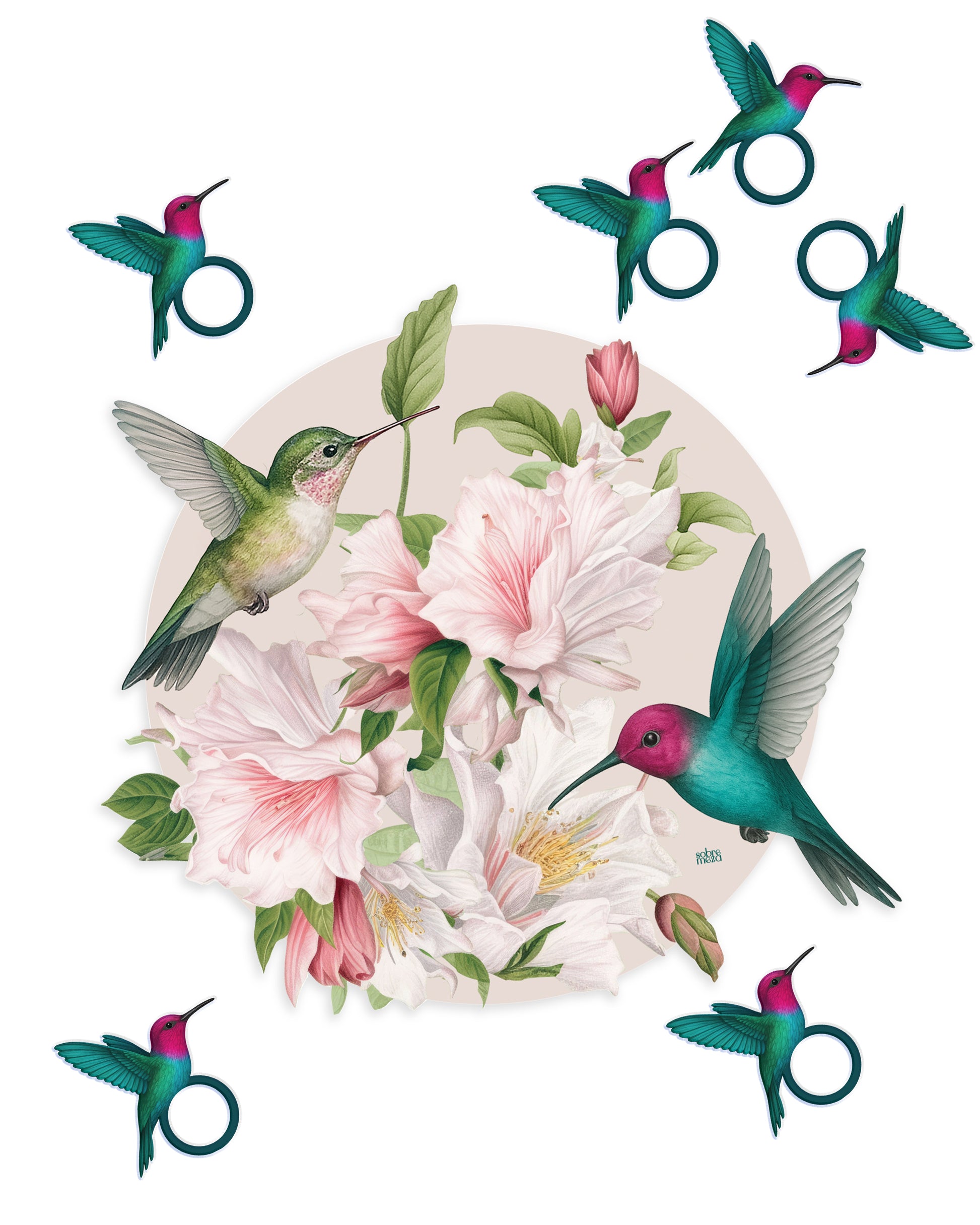 Colibri Hosting Bundle