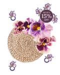 Pansy Hosting Bundle