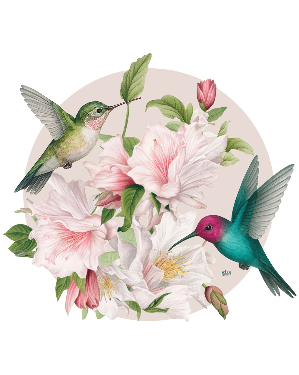 Colibri Spill-Proof Placemats (set of 6)