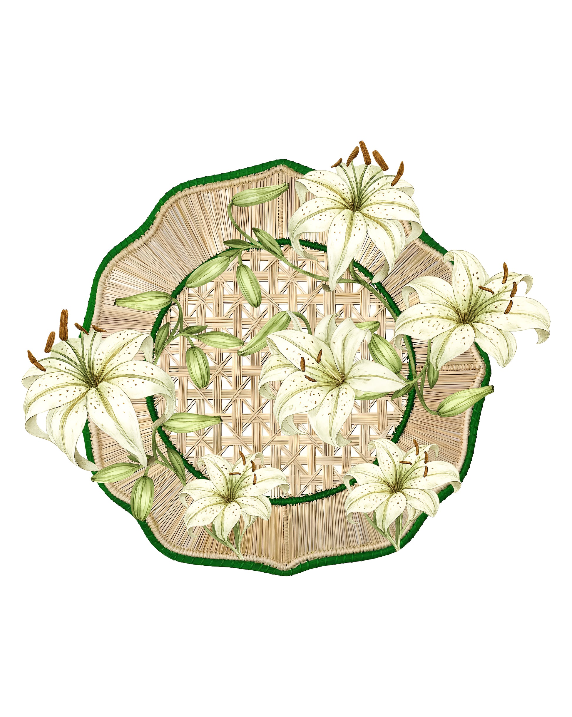 Lilly Spill-Proof Placemats (set of 6)