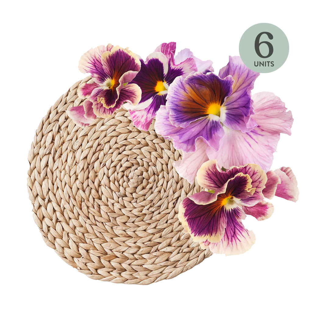 Pansy Complete Bundle